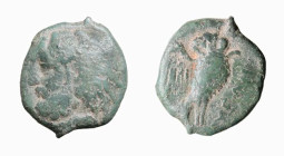 LUCANIA - VELIA (circa 350-200 a.C.) BRONZO gr.4,5 - D/Testa di ercole a s. con copricapo di pelle leonina R/Gufo con ali spiegate con a d. la scritta...