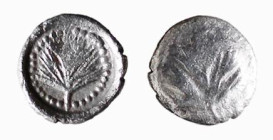 SICILIA - SELINUNTE (circa 480-465 a.C.) LITRA gr.0,50 - D/Entro cerchio perlinato foglia R/Foglia - Ar - McClean 2573 e Tav. 87, 19 SPL