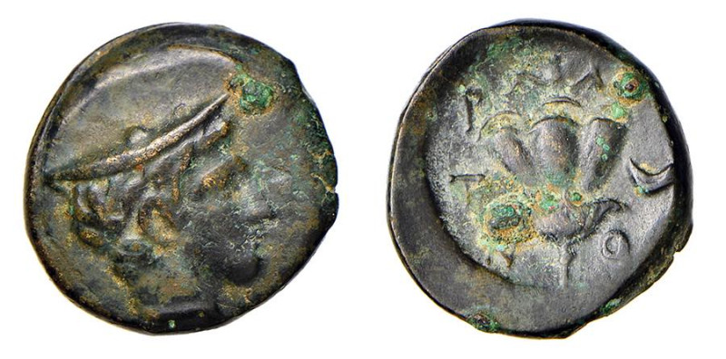 MACEDONIA - TRAGILOS (circa 400 a.C.) AE 18 - D/Test di Hermes a d. con il cappe...