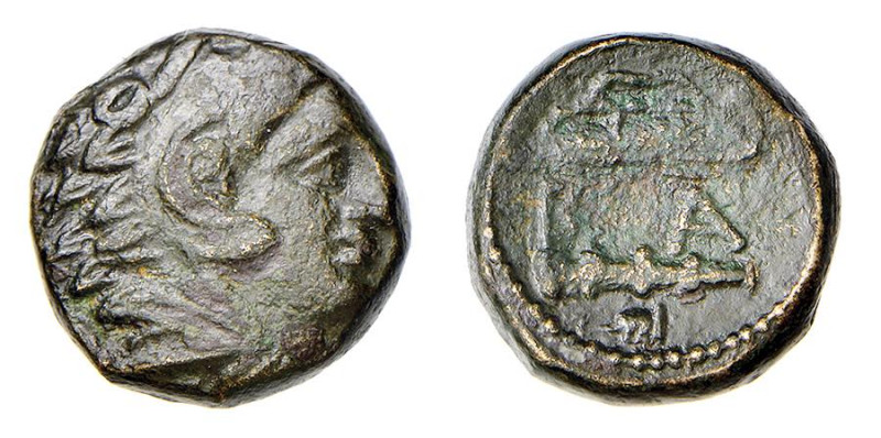 MACEDONIA - Zecca incerta - ALESSANDRO III (336-323 a.C.) AE 16 - D/Testa di Ale...