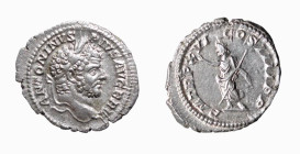 CARACALLA (196-217) DENARIO - D/Testa laureata a d. ANTONINVS PIVS AVG GERM R/Serapis stante a s., alza la mano e tiene lo scettro. P M TR P XVI - COS...