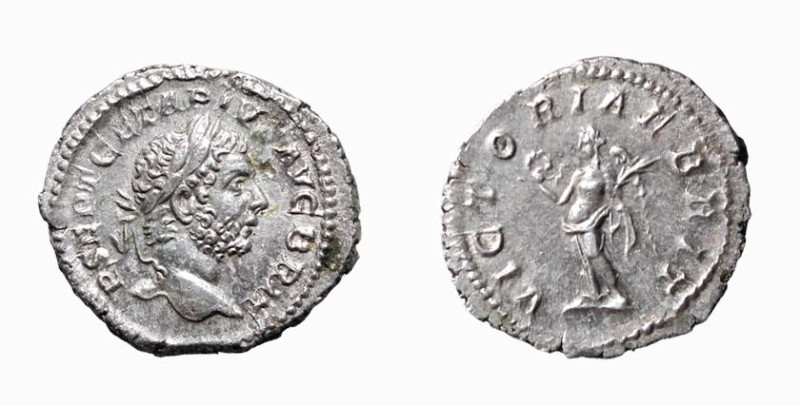 GETA (209-212) DENARIO - D/Testa laureata a d. P SEPT GETA PIVS - AVG BRIT R/La ...