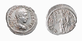 ELIOGABALO (218-222) DENARIO - D/Busto laureato e drappeggiato a d. IMP ANTONINVS PIVS AVG R/La Liberalitas stante a s.,abacum nella mano d. e cornuco...
