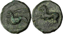 GRÈCE ANTIQUE - GREEK
Sicile, Alaesa. Bronze AE22 “KAINON” ND (c.340 av. J.-C.), Alaesa.
SNG ANS 1169-1174 ; Bronze - 7,22 g - 22 mm - 6 h
Avec une ét...