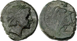 GRÈCE ANTIQUE - GREEK
Sicile, Gela. Bronze AE24 ND (après 241 av. J.-C.), Gela.
SNG Cop.289 v. ; Bronze - 12,09 g - 24,5 mm - 1 h
Avec une étiquette d...