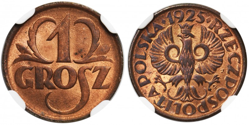 1 grosz 1925 - NGC MS66 RB

Piękny, menniczy egzemplarz w rzadszym kolorze cze...
