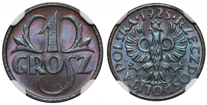1 grosz 1925 - NGC MS66 BN - jedyny

Doskonale zachowany, menniczy egzemplarz ...