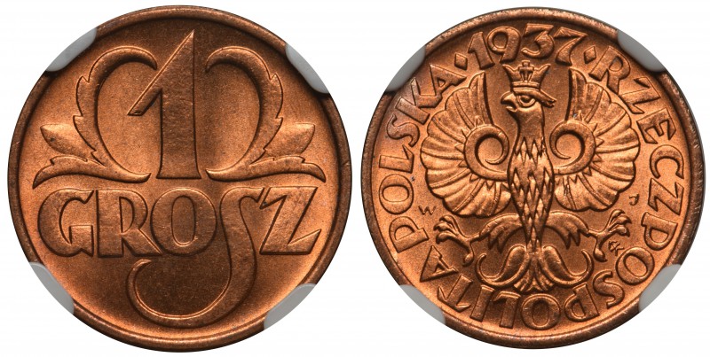 1 grosz 1937 - NGC MS66 RD

Mennicza sztuka w cenionym kolorze czerwonym. 
Dr...