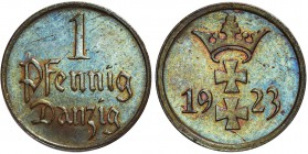 Wolne Miasto Gdańsk - 1 fenig 1923 - stempel lustrzany

Bardzo rzadka moneta wybita stemplem lustrzanym. Egzemplarz w kolorze brązowym.
Pozycja do ...