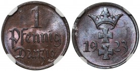 Wolne Miasto Gdańsk - 1 fenig 1923 - MS65 BN

Menniczy egzemplarz z mocnym połyskiem. Kolor brązowy.
Wysoka, druga najwyższa nota w rejestrze NGC d...