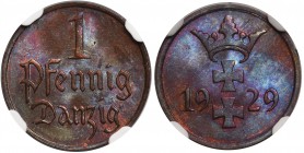Wolne Miasto Gdańsk - 1 fenig 1929 - NGC MS65 BN

Menniczy egzemplarz z połyskiem. Kolor czerwono-brązowy. 
Druga najwyższa nota w rejestrze NGC. ...
