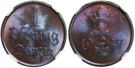 Wolne Miasto Gdańsk - 1 fenig 1937 - NGC MS66 BN - jeden z dwóch MAX

Perfekcyjna sztuka z głębokim lustrem i zjawiskową kolorystyką sklasyfikowaną ...