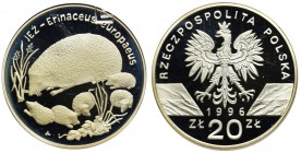 20 złotych 1996 - Jeż - GCN PR69

Nie dostrzegliśmy rysek oglądając monetę przez slab. 
POLISH COINS Poland Polen Commemorative Coins Poland Polen ...