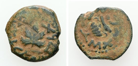 Judaea, First Jewish War, 66-70 AD. AE, Prutah. 2.40 g. - 17.23 mm. Dated year 2 (67/8 AD). Jerusalem mint.
Obv.: Year two (Paleo-Hebrew), amphora wit...