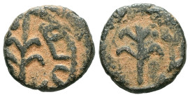 Judaea. Herodian Dynasty & Procurators. AE, Prutah. 2.81 g. - 14.86 mm.
Detailed description will be added…