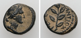 Syria, Antioch. Pseudo-autonomous, Time of Nerva (AD 96/7). AE. 3.71 g. 14.73 mm.
Obv: Draped bust of Apollo, right.
Rev: ΑΝΤΙΟΧΕΩΝ, [ET EMP]. Laure...
