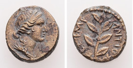Syria, Antioch. Pseudo-autonomous, Time of Nerva (AD 96/7). AE. 2.90 g. 14.94 mm.
Obv: Draped bust of Apollo, right.
Rev: ΑΝΤΙΟΧΕΩΝ, ET EMP. Laurel br...