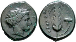 Lukania. Metapont 

AE-Obol 425-350 v. Chr. Kopf der Demeter mit Ährenkranz nach rechts in Perlkreis / Gerstenähre mit sieben Kornreihen, rechts Bla...