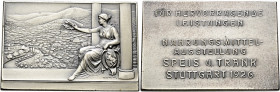 Stuttgart-Stadt. Sammlung Hartmut Schulz 

Prämienplakette in versilberter Bronze 1926 von Mayer und Wilhelm, für hervorragende Leistungen bei der N...
