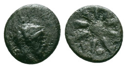 Greek Coins, 4th - 1st century B.C. AE

Reference :
Condition: Very Fine

Weight: 1.13 gr.
Diameter: 11.1 mm