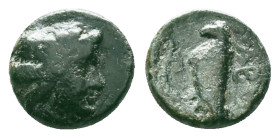 Greek Coins, 4th - 1st century B.C. AE

Reference :
Condition: Very Fine

Weight: 1.17 gr.
Diameter: 9.3 mm