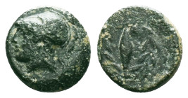 Greek
Aiolis. Elaia circa 350-200 BC.
Bronze Æ
Helmeted head of Athena left / Ε-Λ, grain-seed within olive-wreath.

Condition: Very Fine

Weight: 1.46...