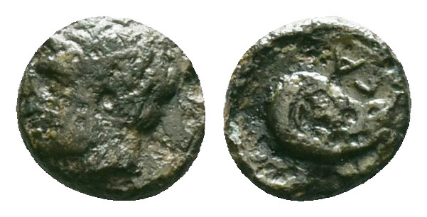 Greek Coins
Troas, Gargara. 4th century BC. Æ . Laureate head of Apollo left / Γ...