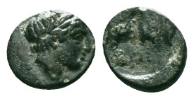 Greek Coins, 4th - 1st century B.C. AE

Reference :
Condition: Very Fine



Weight: 0.62 gr.
Diameter: 9.3 mm