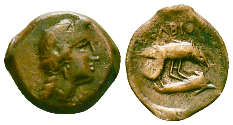 Greek Coins
SKYTHIA. Olbia. Ae (Circa 380-360 BC). Obv: Head of Demeter right, w...