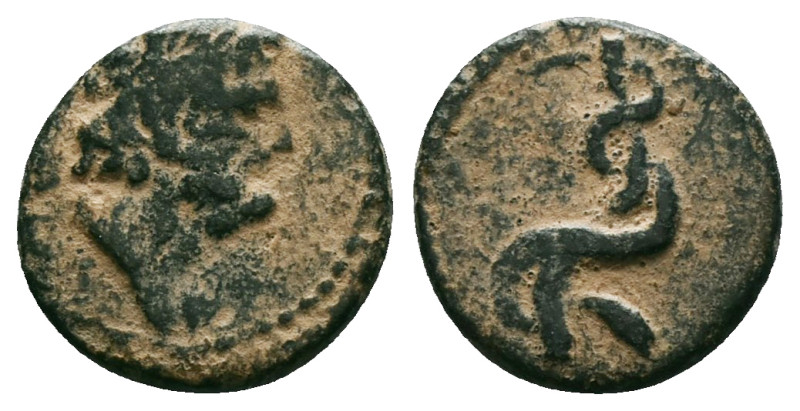 Greek Coins, 4th - 1st century B.C. AE

Reference :
Condition: Repatinated. Very...