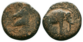 Greek
Greek SELEUKID KINGDOM, Demetrios I Soter (Circa 162-150 BC) AE Bronze 
Obv: Head of horse left. Rev: BAΣIΛEΩΣ ΔHMHTPIOY, head of elephant right...