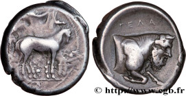 SICILY - GELA
Type : Tétradrachme 
Date : c. 420-415 AC. 
Mint name / Town : Géla, Sicile 
Metal : silver 
Diameter : 25,5  mm
Orientation dies : 6  h...