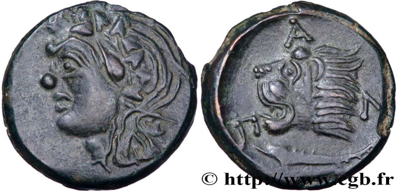 TAURIC CHERSONESE - PANTICAPEUM
Type : Unité 
Date : c. 310 - 304/303AC. 
Mint n...