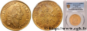 LOUIS XIV "THE SUN KING"
Type : Double louis d'or aux quatre L 
Date : 1699 
Mint name / Town : Paris 
Quantity minted : 22785 
Metal : gold 
Millesim...