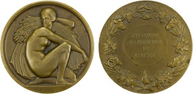 FRANCE: AE medal (60.00g), ND (1932), Risse Collection-8345, MdP-94B, 50mm bronze Agriculture medal for the Chambre d'Agriculture de L'Aisne by Robert...