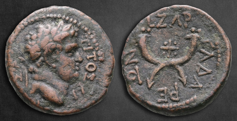 Decapolis. Gadara. Titus, as Caesar AD 76-78. Dated RY 137=73/4 AD
Bronze Æ

...