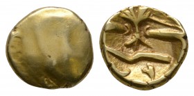 Celtic Iron Age Coins - Gallo-Belgic - Morini - Gold Uniface Tree Quarter Stater
1st century BC. Obv: plain. Rev: tree-like motif with lines around, ...