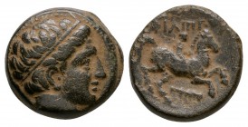 Ancient Greek Coins - Macedonia - Alexander III (the Great) - Horseman Unit
4th century BC. Obv: profile head right. Rev: horseman riding right with ...