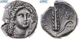 Lucania, Nomos, 330-280 BC, Metapontum, Silver, NGC, Ch VF, HN Italy:1584