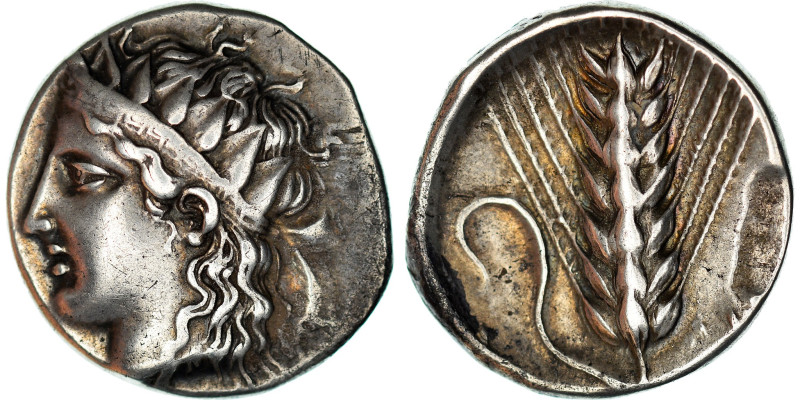 Lucania, Nomos, ca. 400-340 BC, Metapontum, Silver, NGC, CH VF★, HGC:1-1050
Hea...