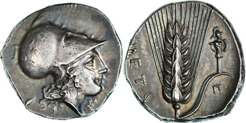 Lucania, Nomos, ca. 330-290 BC, Metapontion, Silver, NGC, AU 3/5-4/5, HGC:1-1065...
