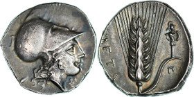 Lucania, Nomos, ca. 330-290 BC, Metapontion, Silver, NGC, AU 3/5-4/5, HGC:1-1065