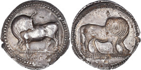 Lucania, Nomos, 550-510 BC, Sybaris, Silver, NGC, EF(40-45), SNG-Cop:1388, HN