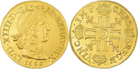 France, Louis XIV, Louis d'or au buste juvénile, tête laurée, 1666, Lyon, Gold