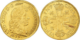 France, Louis XIV, 1/2 Louis d'or à la tête nue, 1679, Paris, Gold, AU(50-53)