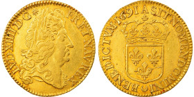 France, Louis XIV, Double louis d'or à l'écu, 1691, Paris, Gold, AU(50-53)