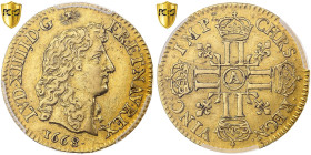 France, Louis XIV, 1/2 louis d'or à la tête nue, 1668, Paris, Pedigree, Gold