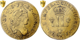 France, Louis XV, Louis d'or de Béarn aux 2 L, 1723, Pau, Flan neuf, Gold