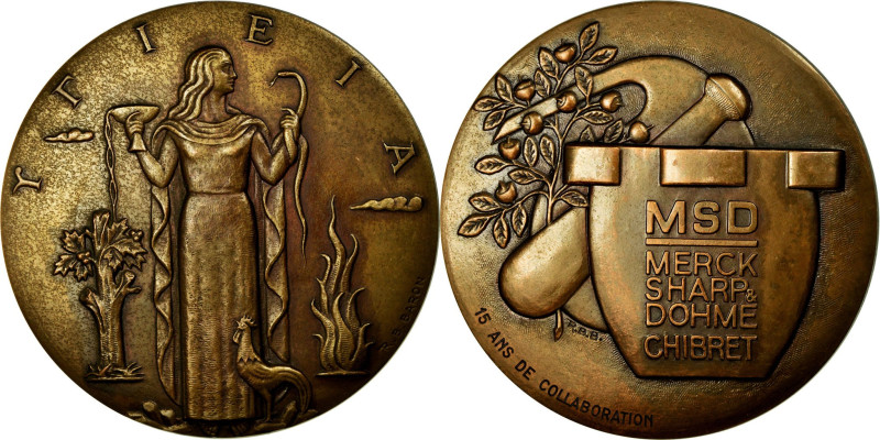 France, Medal, Hygieia, Laboratoires M.S.D-Chibret, 1978, Bronze, Baron
Represe...