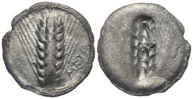 LUCANIA. Metapontion. Circa 540-510 BC. Incuse Stater (Silver, 28.05 mm, 6.78 g). META Barley ear of eight grains, within dotted border. Rev. Same typ...